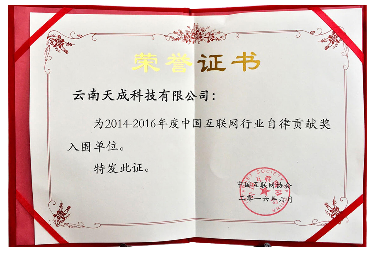 中国互联网行业荣誉证书